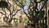 Về việc cổ phần hóa Saigontourist: Lập ngay hồ sơ bảo tồn cho 4 khách sạn