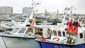 Tàu đánh cá nhỏ của Pháp neo đậu tại cảng Boulogne-sur-Mer