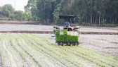 Long An phát triển nông nghiệp ứng dụng công nghệ cao