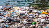 Nhựa và rác thải nhựa trên toàn cầu gây ra nhiều vấn đề nan giải