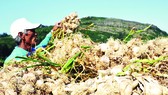 Đặc sản miền biên viễn