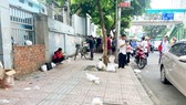 Rác thức ăn dư thừa "bủa vây" cổng bệnh viện