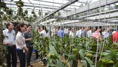 Tham gia HTX để phát triển kinh tế