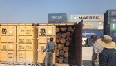 Phát hiện hàng trăm container gỗ xuất khẩu trốn thuế