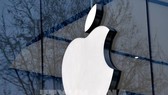 Apple bắt đầu sản xuất iPhone 12 tại Ấn Độ