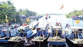 Nghệ An thành lập Chi bộ Hội Nghề cá Quỳnh Lập