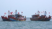 Bà Rịa - Vũng Tàu: Thực hiện cao điểm chống đánh bắt thủy hải sản trái phép