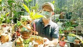 Hoa kiểng nhộn nhịp vào vụ tết
