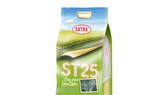 Satra ra mắt sản phẩm gạo ST25 lúa - tôm
