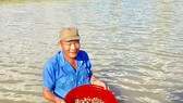 Mô hình nuôi sò huyết trong vuông tôm đem lại hiệu quả kinh tế cao cho người dân