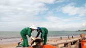 Thu dọn hơn 16 tấn rác dạt vào bờ biển Vũng Tàu