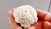 Não người in bằng công nghệ in 3D với chất liệu là chocolate trắng