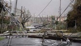 Cột điện ngã đổ trên đường phố khu vực Humacao trên đảo Puerto Rico sau khi bão Maria quét qua. Ảnh: AP