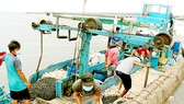 Ngư dân Bình Thuận hối hả chuẩn bị ngư cụ, nhu yếu phẩm  để ra khơi đánh bắt hải sản vụ tết.