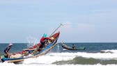 Ngư dân rẽ sóng “săn” hàng tấn ruốc biển mỗi ngày