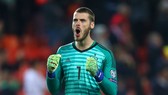 David De Gea đã giúp Tây Ban Nha cầm hòa đội chủ nhà Đức