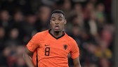 Cầu thủ trẻ Ryan Gravenberch (Ajax)