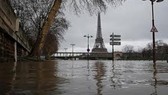 Sông Seine tràn bờ ở thủ đô Paris. Ảnh: aawsat.com