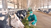 Ông lớn sữa Việt chia sẻ bí quyết phát triển xanh và bền vững tại hội nghị sữa toàn cầu