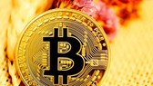 Bitcoin đang là đồng tiền ảo có giá trị lớn nhất thế giới.