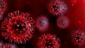 39 trường hợp tiếp xúc gần với chuyên gia Hàn Quốc đều âm tính với virus SARS-CoV-2