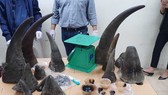 Một lô hàng sừng tê giác bị cơ quan chức năng bắt giữ
