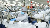 ADB dự báo kinh tế Việt Nam tăng trưởng 1,8%  ​