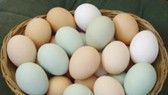 Trứng được tiêu thụ mạnh do… dịch Covid-19 ​