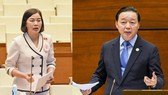 Phải có chế tài kinh tế đủ mạnh để ngăn chặn đấu giá ảo, rút tiền thật