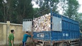Công an bắt quả tang 7 xe chở hàng chục tấn rác thải ra môi trường