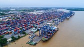   Cảng Cát Lái (TPHCM) ùn ứ container trong khi lực lượng lao động bị thiếu hụt