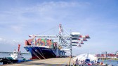 Bộ GTVT kiểm tra, rà soát giá dịch vụ và giá cước vận tải biển