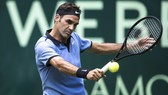 Federer và cuộc chiến với những người Đức
