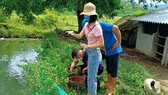 Cán bộ y tế tiến hành điều tra nguồn gây bệnh sốt xuất huyết tại xã Mậu Lâm (huyện Như Thanh). Ảnh: CDC Thanh Hóa