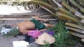 Nghệ An: Cây trong công viên đổ, đè một người tử vong