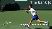 Djokovic - người một nơi, vợt một nẻo, bị loại khỏi Indian Wells