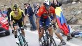 Roglic bám sát Nibali suốt chặng đua thứ 13