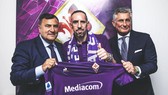 Ribery chính thức trở thành người của Fiorentina