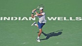 Nếu chỉ tính riêng Indian Wells, Djokovic đã đăng quang 5 lần