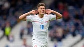 Patrik Schick