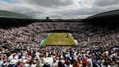 Khán giả ở Wimbledon