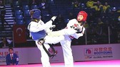 Hồ Thị Kim Ngân (giáp đỏ) là một trong những VĐV trưởng thành từ lứa tuổi trẻ của taekwondo Việt Nam. Ảnh: WTF