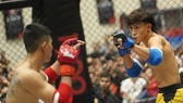 Nguyễn Trần Duy Nhất là võ sĩ tham dự giải MMA lần này và đã lọt vào tứ kết hạng cân. Ảnh: VMMAF