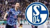 Maya Yoshida cập bến Schalke 04
