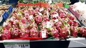 Vietnamese dragon fruits continuously arrive in Australia