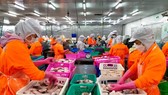 Pangasius exports exceed US$1.62 billion in 2021