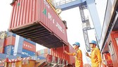 Despite RCEP, Vietnam’s export activities still face many difficulties