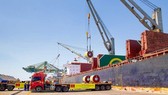 HCMC proposes investment in international transshipment port in Can Gio District