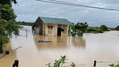 Heavy rains flood 50 houses, more than 1,000 hectares of crops in Dak Lak