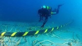 VN’s outbound Internet affected by APG undersea fiber optic cable problem